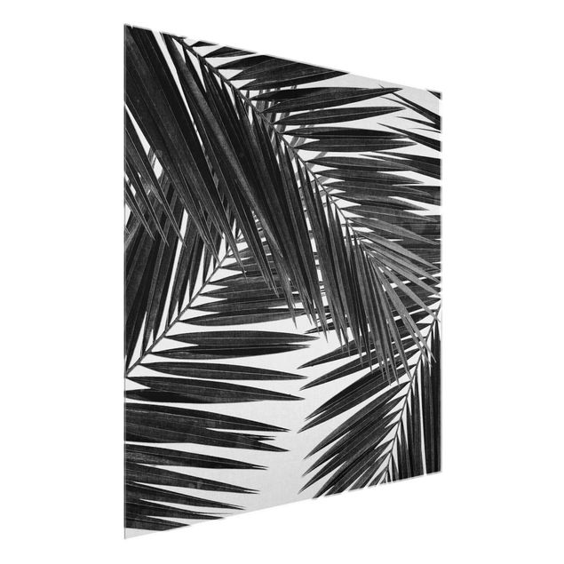 Glass prints black and white View Through Palm Leaves Black And White