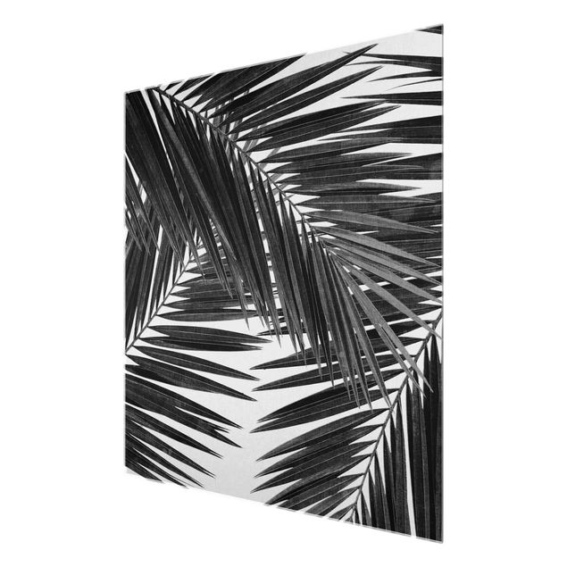 Prints black and white View Through Palm Leaves Black And White