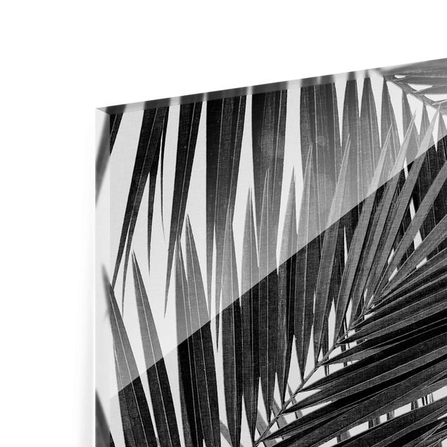 Prints View Through Palm Leaves Black And White