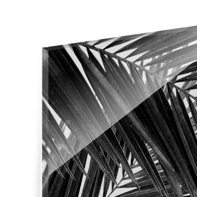 Prints View Through Palm Leaves Black And White