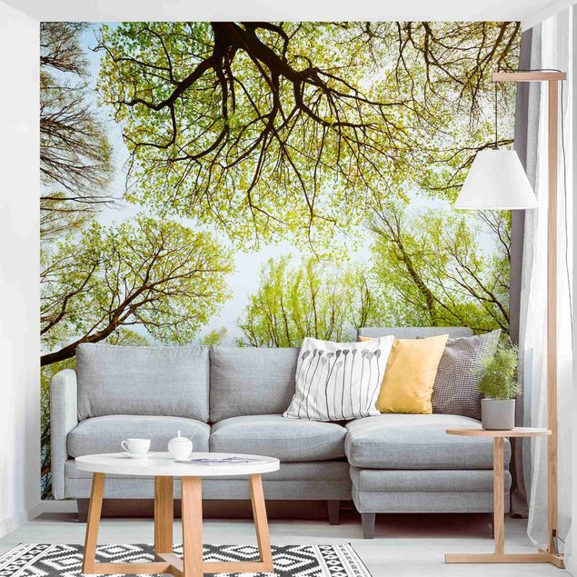 Wallpapers modern Glance Upon Treetops