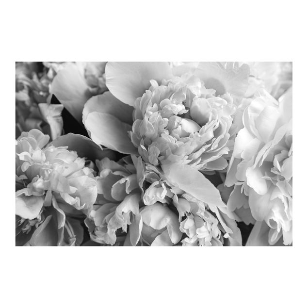 Adhesive wallpaper Blossoming Peonies Black And White