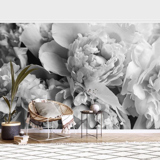 Rose flower wallpaper Blossoming Peonies Black And White