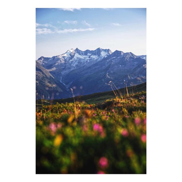 Glass prints flower Flowering Meadow In The Mountains