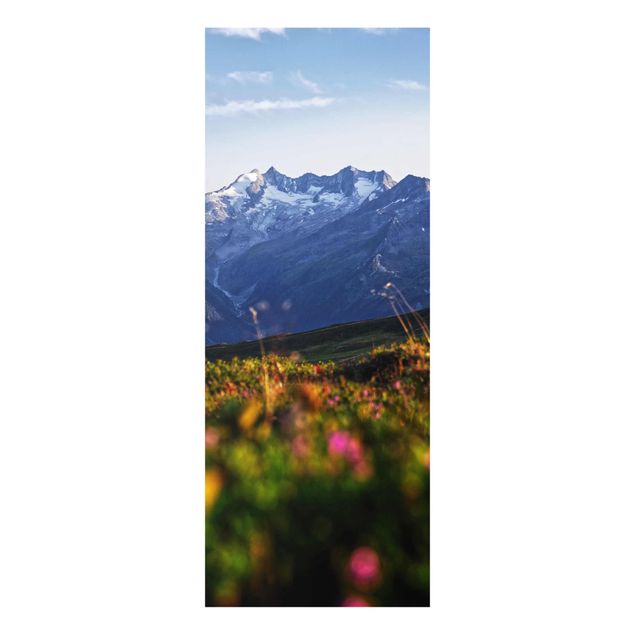 Glass prints flower Flowering Meadow In The Mountains