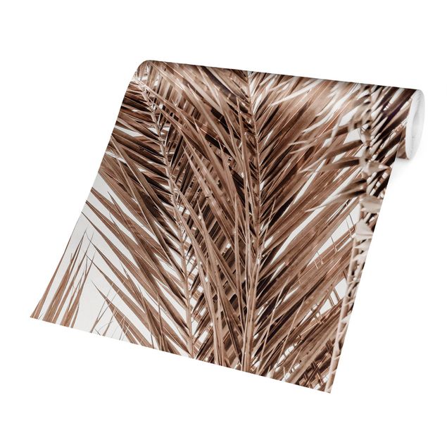 Wallpapers brown Bronze Coloured Palm Fronds