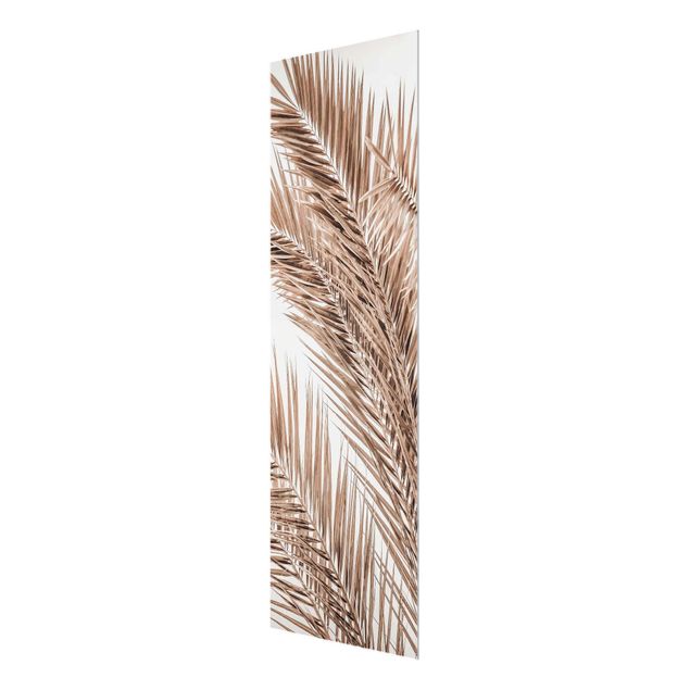Prints brown Bronze Coloured Palm Fronds