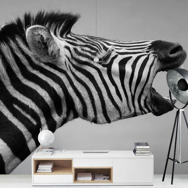 Wallpapers black and white Roaring Zebra ll