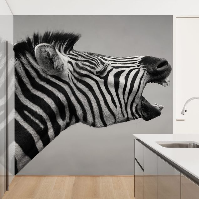 Wallpapers animals Roaring Zebra ll