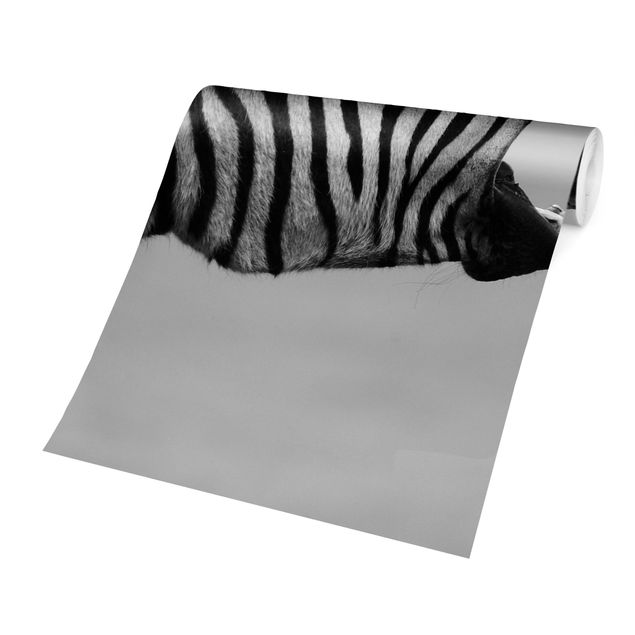 Wallpapers modern Roaring Zebra ll