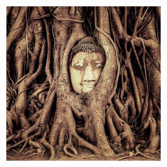 Adhesive wallpaper Buddha In Ayutthaya Lined From Tree Roots In Brown