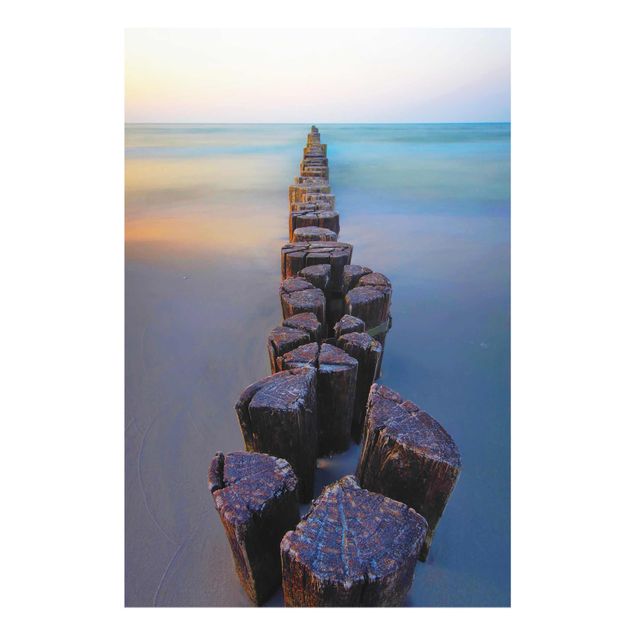 Sea life prints Groynes At Sunset At The Ocean