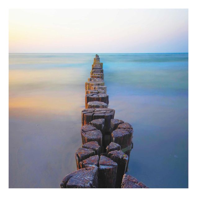 Sea life prints Groynes At Sunset At The Ocean