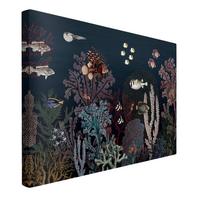 Beach wall art Colourful coral reef at night