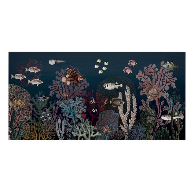 Sea print Colourful coral reef at night