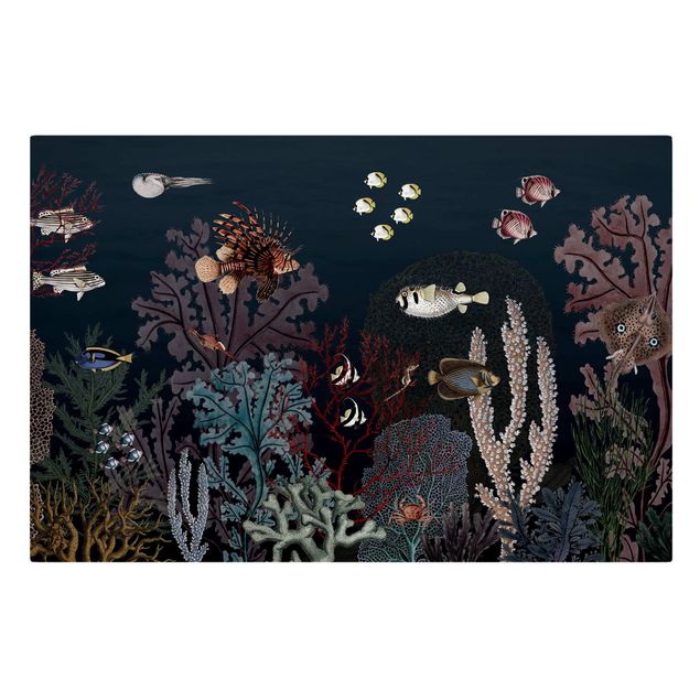 Sea print Colourful coral reef at night