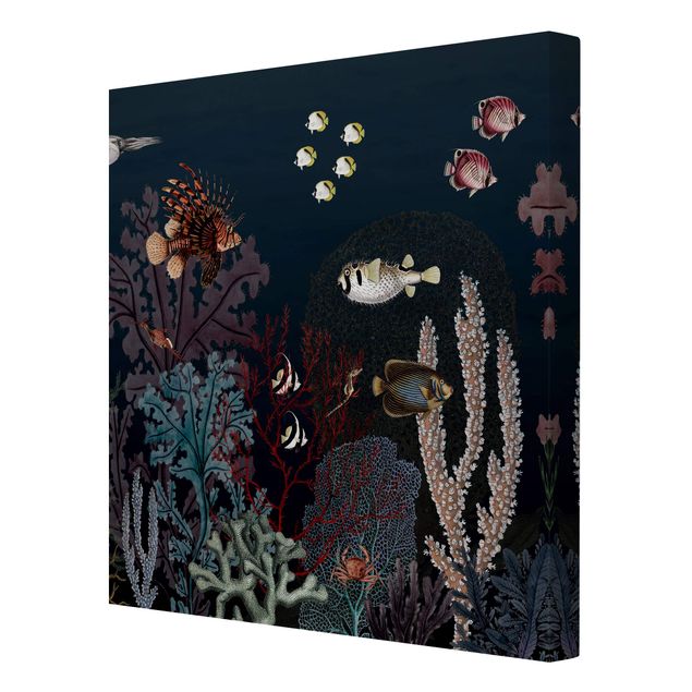 Prints animals Colourful coral reef at night