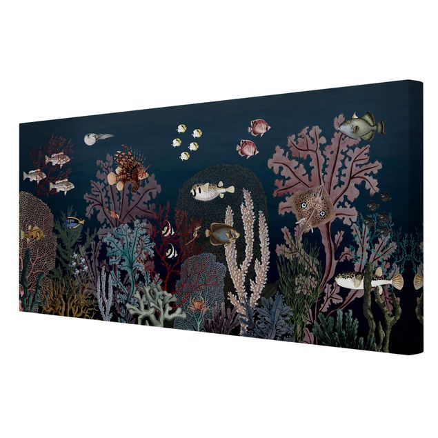 Animal wall art Colourful coral reef at night