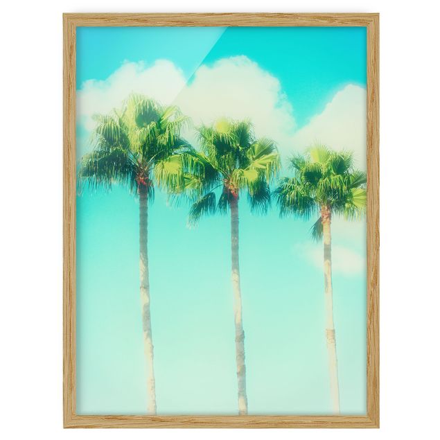 Prints floral Palm Trees Against Blue Sky