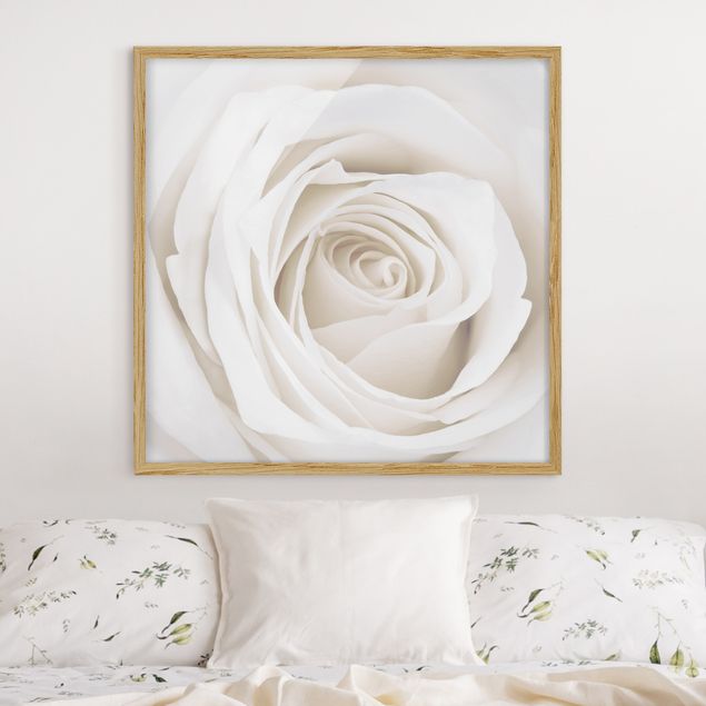 Flower print Pretty White Rose