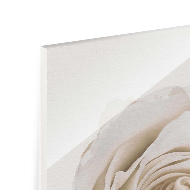 Prints WaterColours - Pretty White Rose