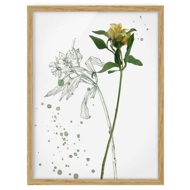 Flower pictures framed Botanical Watercolour - Lily
