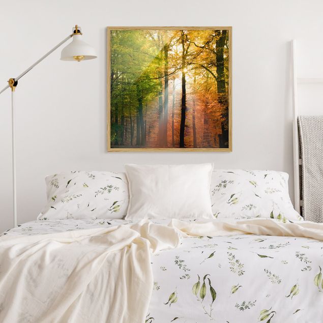 Trees on canvas Morning Light