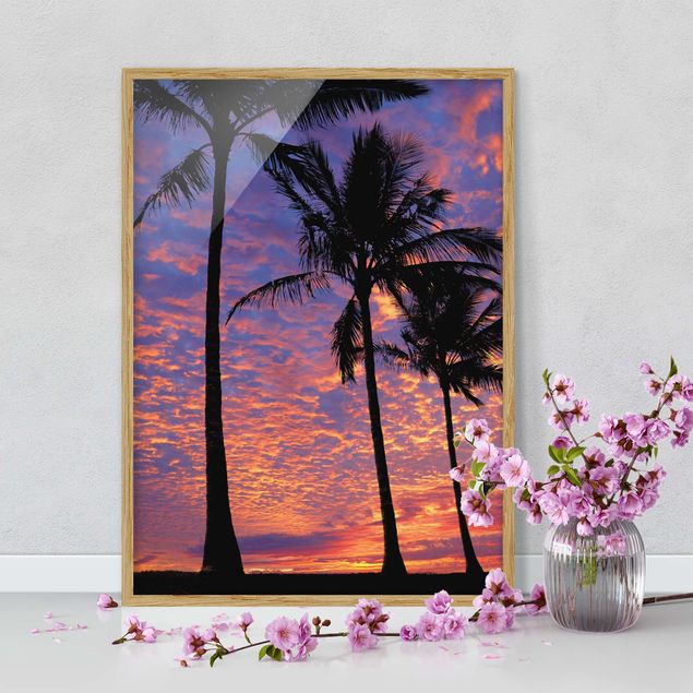 Framed beach prints Palms