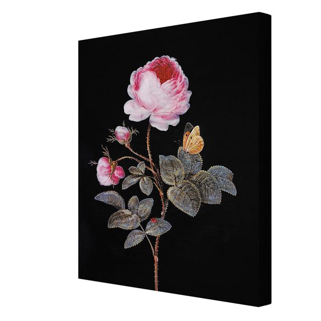 Rose canvas Barbara Regina Dietzsch - The Hundred-Petalled Rose