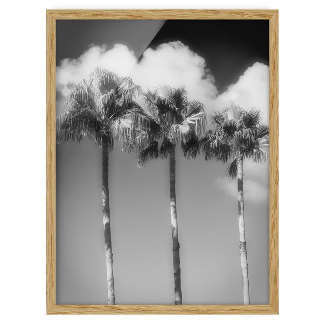 Prints floral Palm Trees Against The Sky Black And White