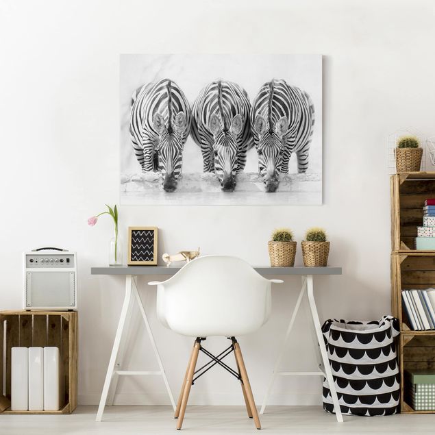Zebra canvas print Zebra Trio In Black And White