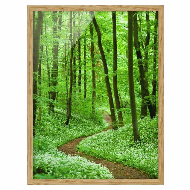 Modern art prints Romantic Forest Track
