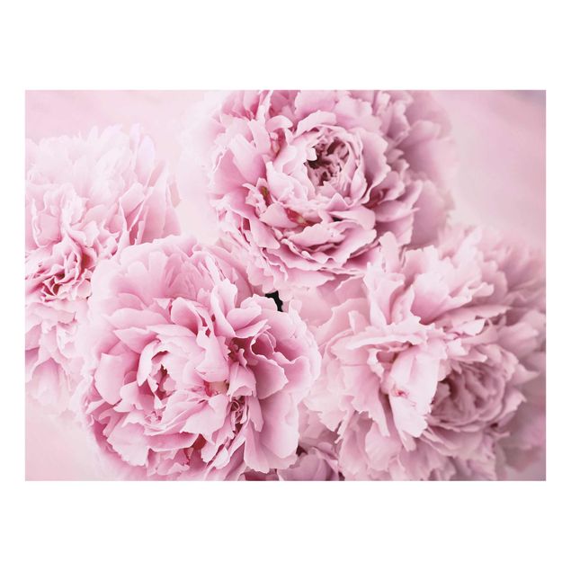 Flower print Pink Peonies