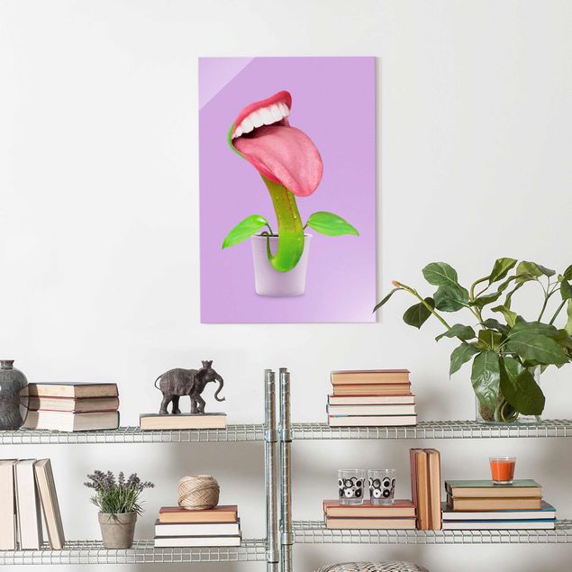 Kitchen Carnivorous Plant With Mouth