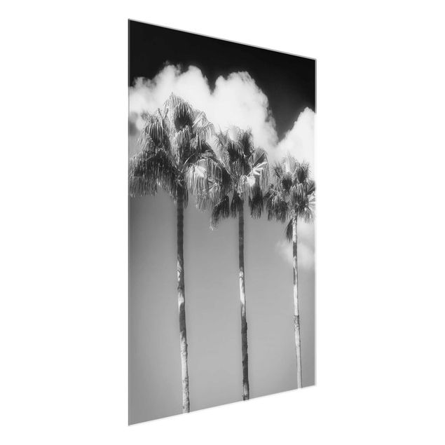 Glass prints black and white Palm Trees Against The Sky Black And White