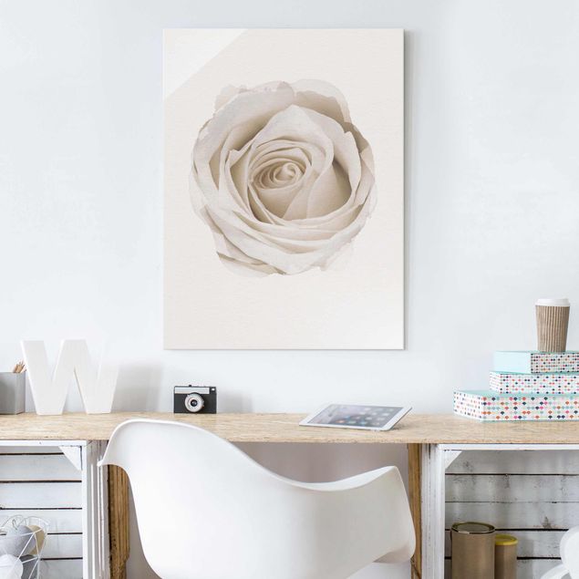 Kitchen WaterColours - Pretty White Rose