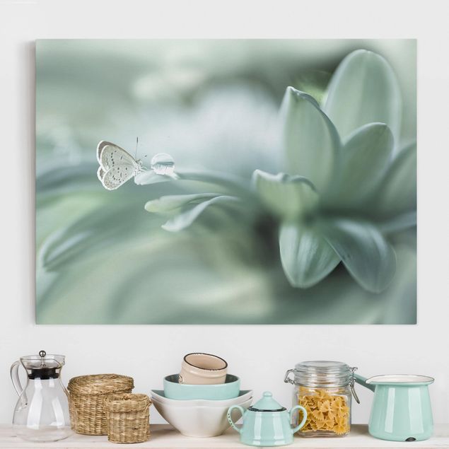Canvas prints grasses Butterfly And Dew Drops In Pastel Green