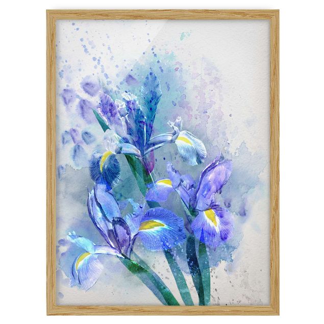 Framed floral Watercolour Flowers Iris