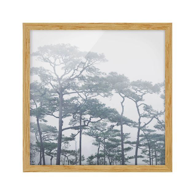 Modern art prints Treetops In Fog