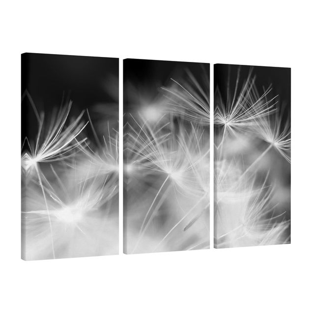 Wall art black and white Moving Dandelions Close Up On Black Background