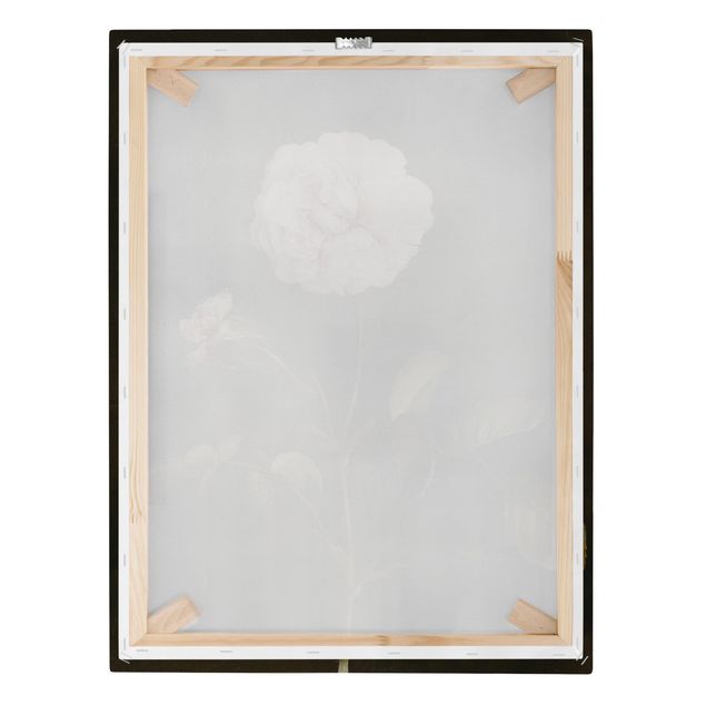 Prints brown Barbara Regina Dietzsch - French Rose With Bumblbee