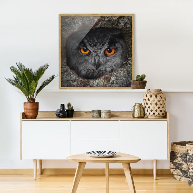 Prints animals Watching Owl