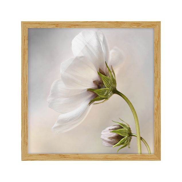 Flower pictures framed Heavenly Flower Dream