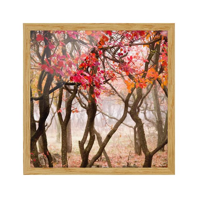 Contemporary art prints Japan In The Fall