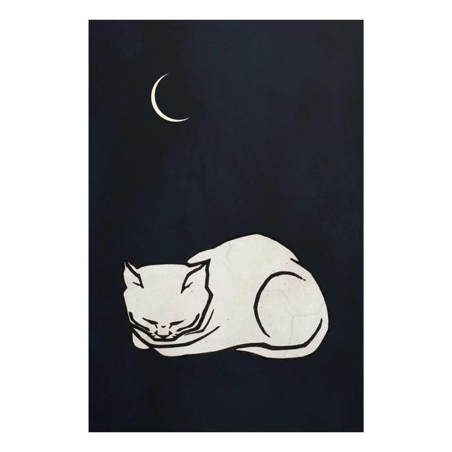 Art posters Sleeping Cat Illustration
