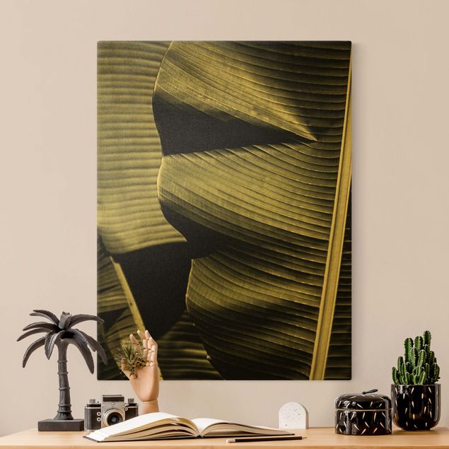 Contemporary art prints Close-Up Of Banana Leaf