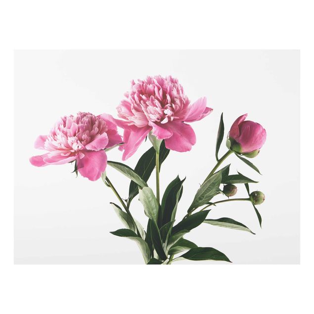 Floral canvas Pink Flowers And Buds On White