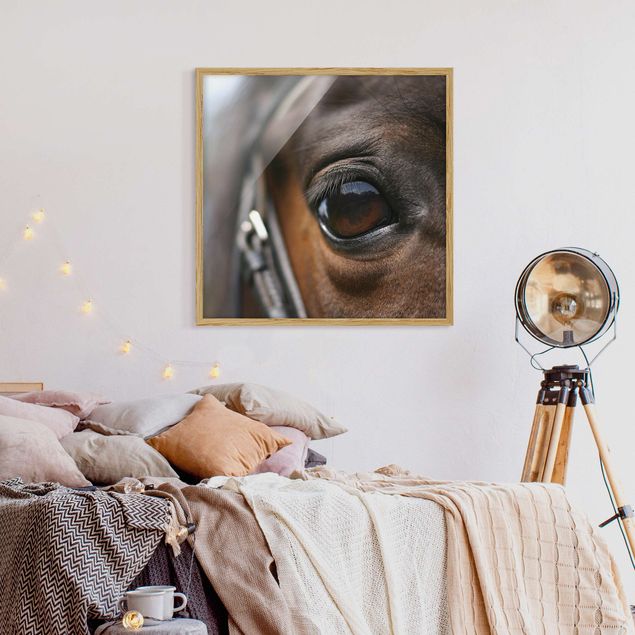 Modern art prints Horse Eye No.3