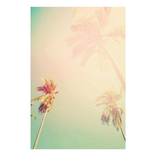 Floral canvas Tropical Plants Palm Trees At Sunset IIl