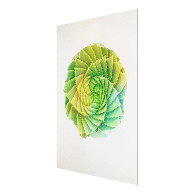 Prints green WaterColours - Spiral Aloe